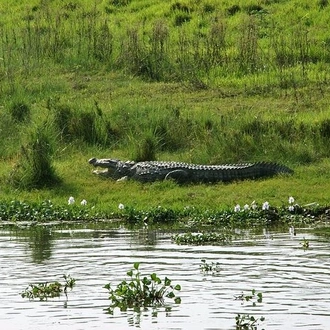 tourhub | Liberty Holidays | 3-Day Chitwan Jungle Safari Tour from Kathmandu 