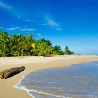 tourhub | Destination Services Costa Rica | Samara Beach, Short Break 