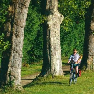 tourhub | UTracks | Cycle the Loire - Nevers to Orléans 