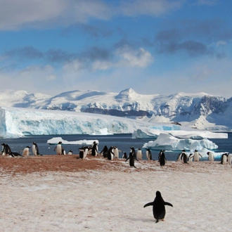 tourhub | Exodus Adventure Travels | Epic Antarctica: Falklands, South Georgia & Antarctic Circle Crossing via Buenos Aires 