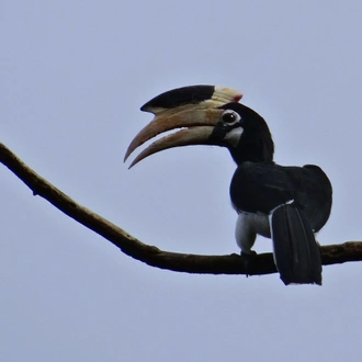 tourhub | Agora Voyages | Goa to Anshi National Park (Kali Tiger Reserve), Extension to Wildlife Safari Tour 