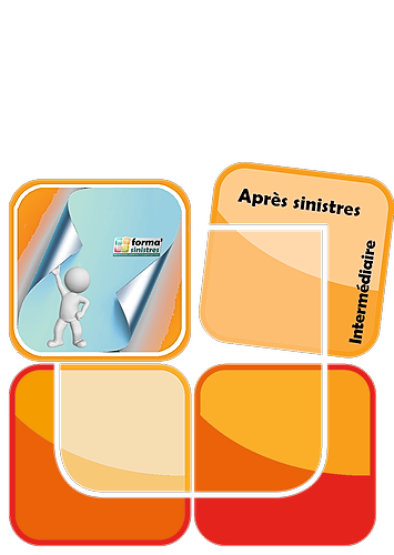 Représentation de la formation : Décontamination des papiers peints  