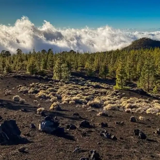 tourhub | Travel Department | Tenerife Walking Holiday 