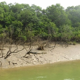 tourhub | Agora Voyages | Bhitarkanika Mangrove Forest Tour 