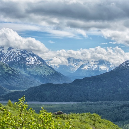 Alaskan Fjord Discovery