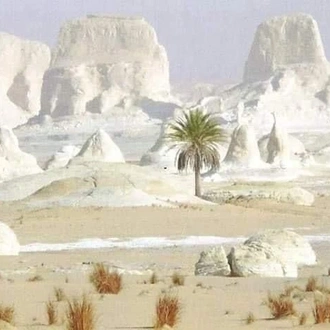 tourhub | Upper Egypt Tours | 11 Days Cairo, Luxor & Desert Safari Tour 