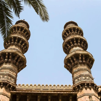 tourhub | Agora Voyages | Across The Temples, Historical Sites & Wildlife of Gujarat 