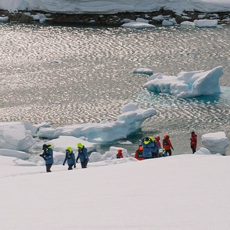 tourhub | Intrepid Travel | Shackleton's Falklands, South Georgia and Antarctica Expedition (Ocean Endeavour)  