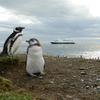 tourhub | Indus Travels | Cruising Fjords of Tierra Del Fuego 