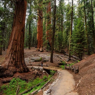 tourhub | Intrepid Travel | Hiking in Yosemite National Park 