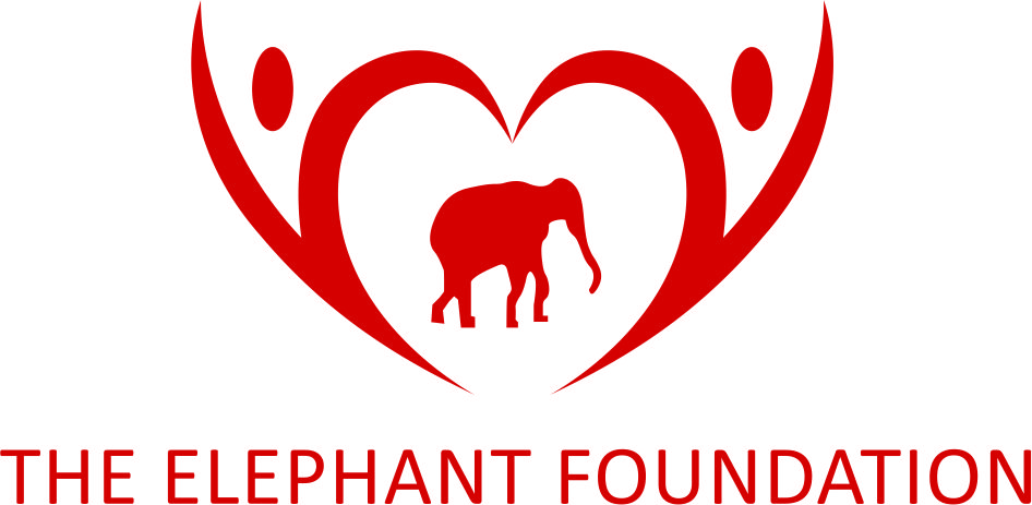 The Elephant Foundation logo