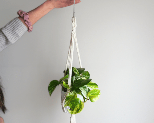 12 Free Macrame Projects to Help You Get Started as a Beginner - plant hangers