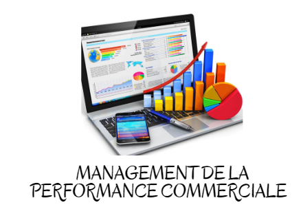 Représentation de la formation : MÉTIERS - MANAGEMENT DE LA PERFORMANCE COMMERCIALE