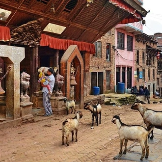 tourhub | Liberty Holidays | 5 Day Self Exploration Vacation in Kathmandu  