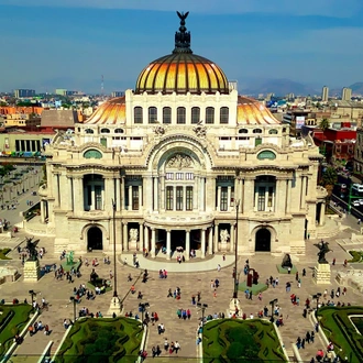 tourhub | Tours of Distinction | Mexico's Monarch Butterfly Migration 