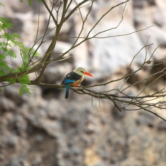 tourhub | Destination Services Portugal | Cape Verde Sao Vicente and Santo Antao 