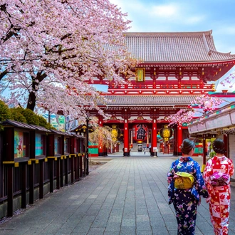 tourhub | Exodus Adventure Travels | Walk the Nakasendo Trail 