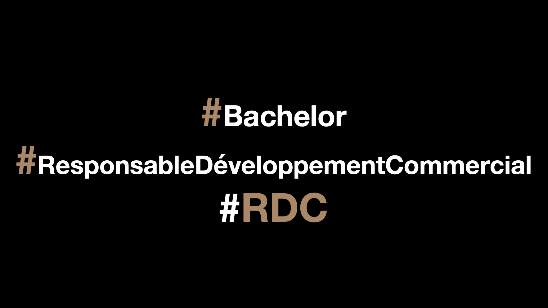 Représentation de la formation : Bachelor Responsable du Développement Commercial - Titre RNCP 37849 - Format initial