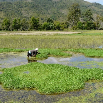 tourhub | SpiceRoads Cycling | Remote Vietnam and Laos by Bike 