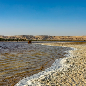 tourhub | Black Camel Tours | From Cairo: Bahariya oasis and white desert 2 Days safari trip 