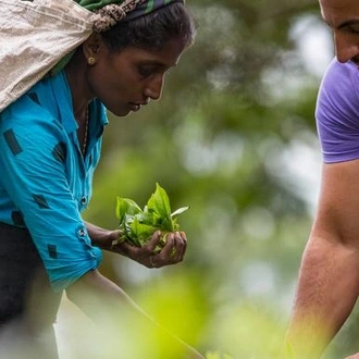 tourhub | G Adventures | Journeys: Discover Sri Lanka 