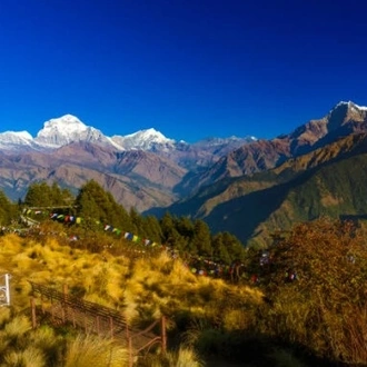 tourhub | Sherpa Expedition & Trekking | Annapurna Base Camp Trek 7 Days 