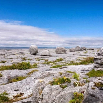 tourhub | Travel Department | Gardens of Limerick & Clare 