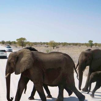 tourhub | Explore! | Namibia Lodge Safari 