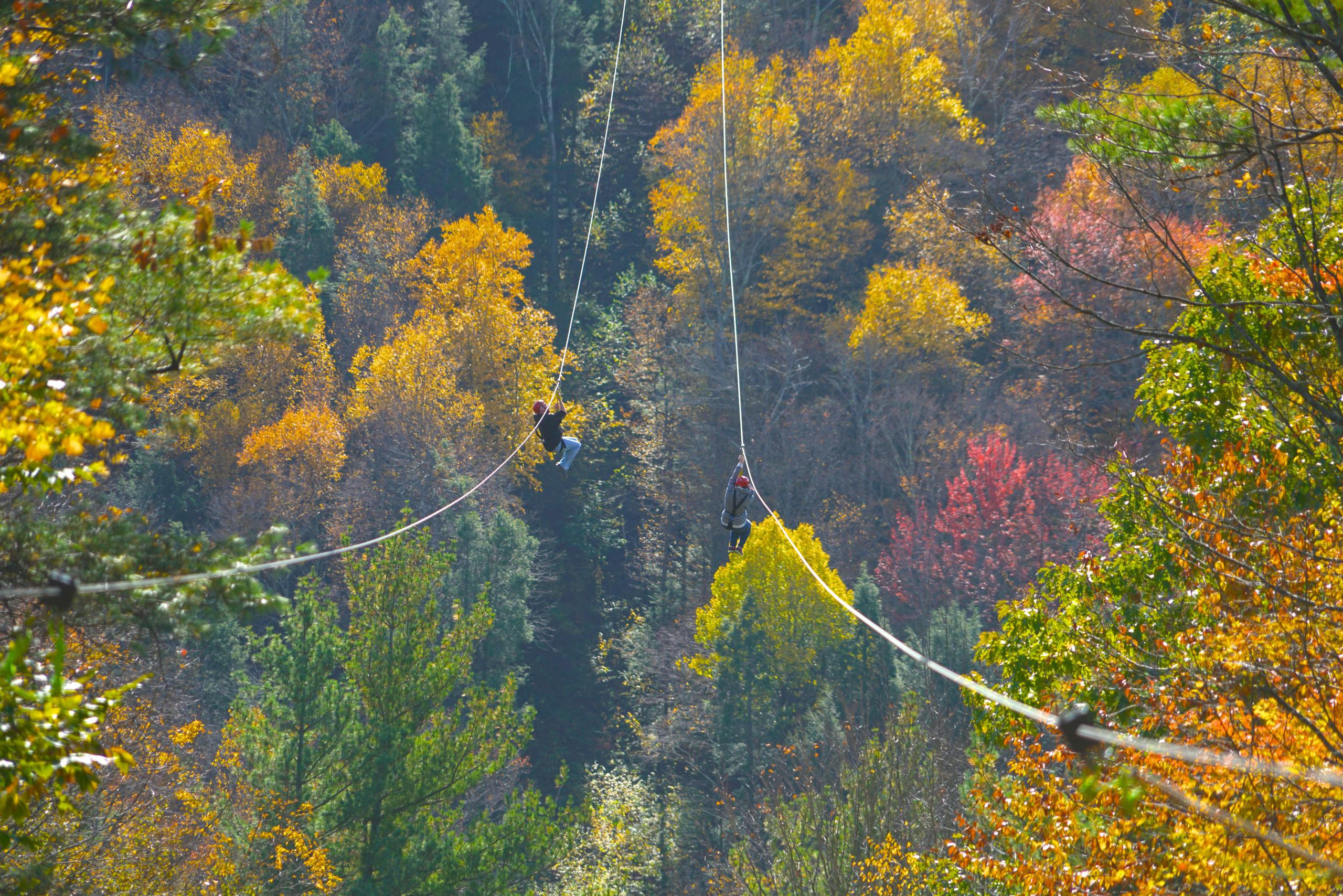 Valley Jump Zip Line Tour