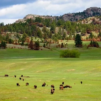 tourhub | Insight Vacations | American Parks Trail - End Rapid City, Small Group 