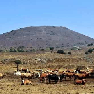 tourhub | Bein Harim | Galilee & Golan Heights, 2 Days from Jerusalem 