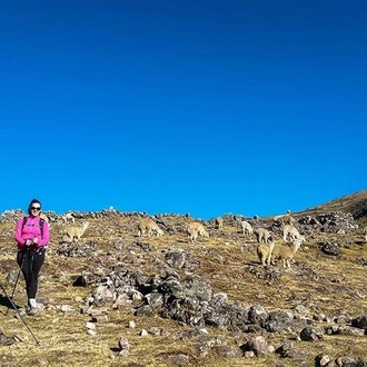 tourhub | Bamba Travel | Lares Trek to Machu Picchu 5D/4N 