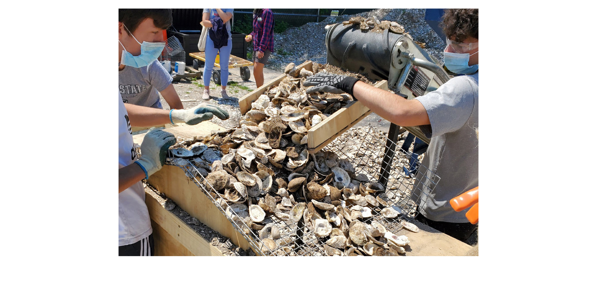 Billion Oyster Project: Volunteers Filling Oyster Shell Bags