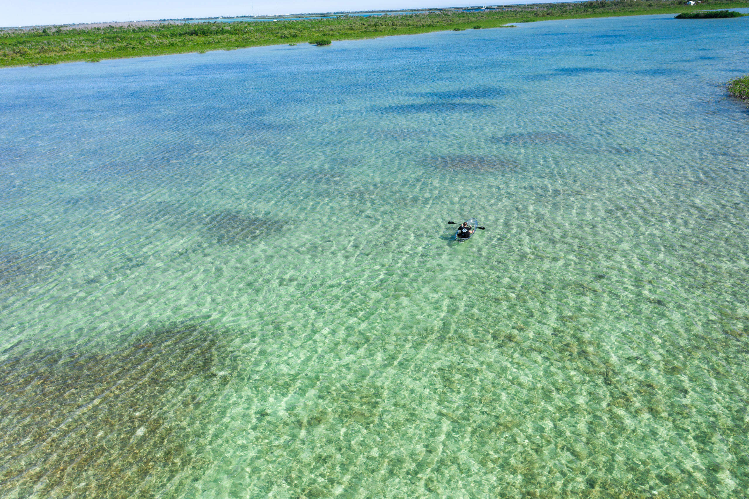 Clear Kayak Tour of Sugarloaf Key image 3