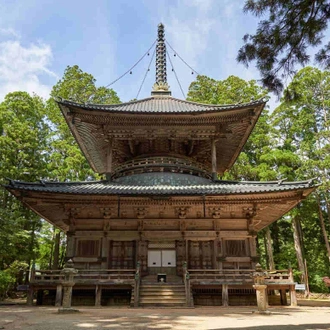 tourhub | YellowWood Adventures | Cultural cities, temples & castles of Imperial Japan 