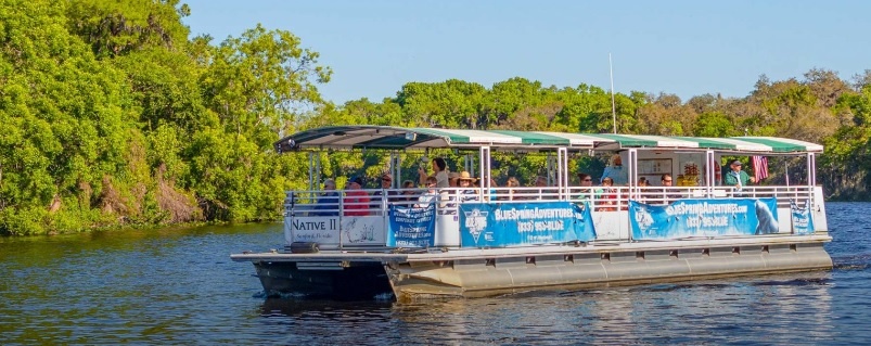 1 Hour St. Johns River Nature Cruise