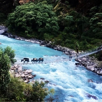 tourhub | Sherpa Expedition & Trekking | Tashi Lapcha Pass Trekking 