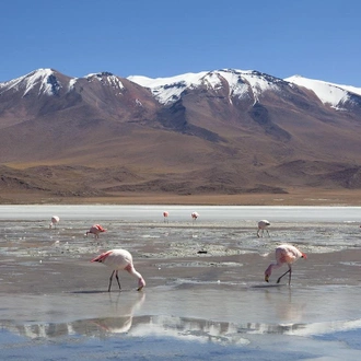 tourhub | Bamba Travel | Salta to La Paz Salt Flats Adventure 10D/9N 