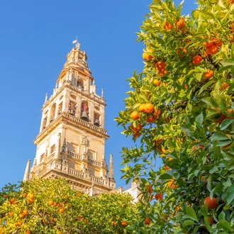 tourhub | Exodus Adventure Travels | Three Cities of Andalucia 