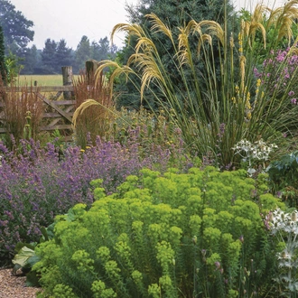 Private Gardens of East Anglia