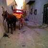 Dar Bishi Synagogue, Horse and Carriage in Hara Kabira - Former Jewish Quarter [2] (Tripoli, Libya, n.d.)