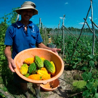 tourhub | Today Voyages | Cycling along the mighty Mekong Delta 