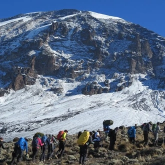 tourhub | Gracepatt Ecotours Kenya | 7 Days Mount Kilimanjaro Trekking through Umbwe Route  