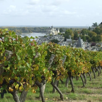 tourhub | Exodus Adventure Travels | Cycle the Loire Valley 