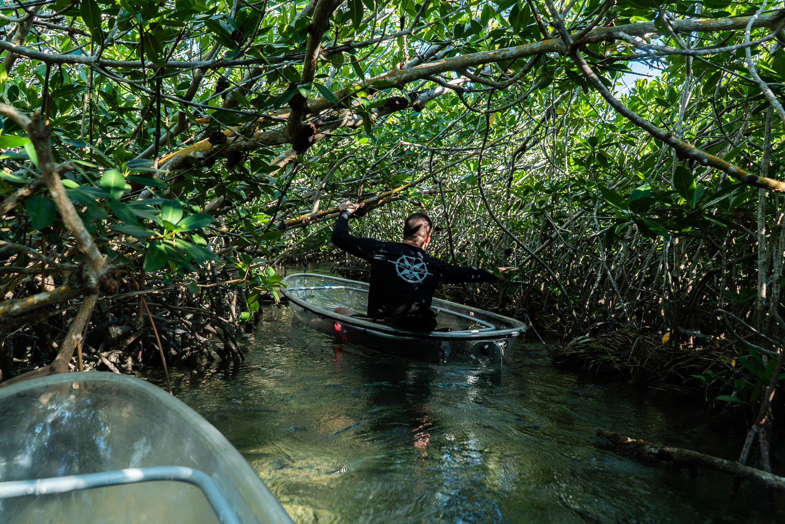 Clear Kayak Tour of Sugarloaf Key image 5