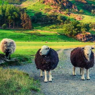 tourhub | Explore! | Walk the Lake District 