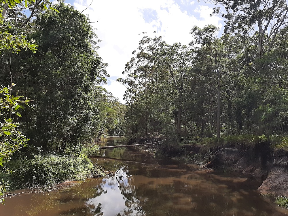 view down Mountain Creek