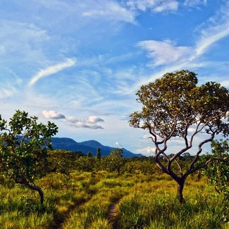 tourhub | Explore! | Natural Wonders of Guyana 