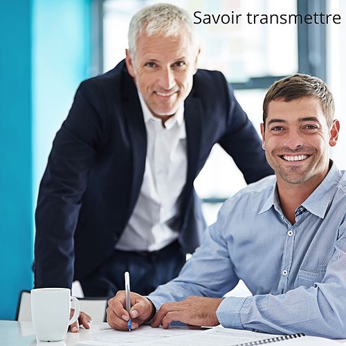 Représentation de la formation : Tutorat en entreprise