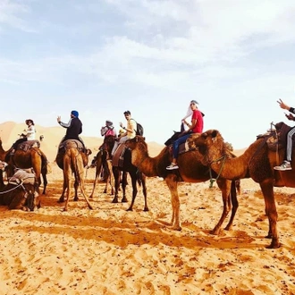 tourhub | Morocco Private Tours | 12 Days from Casablanca Highlights of Morocco. 